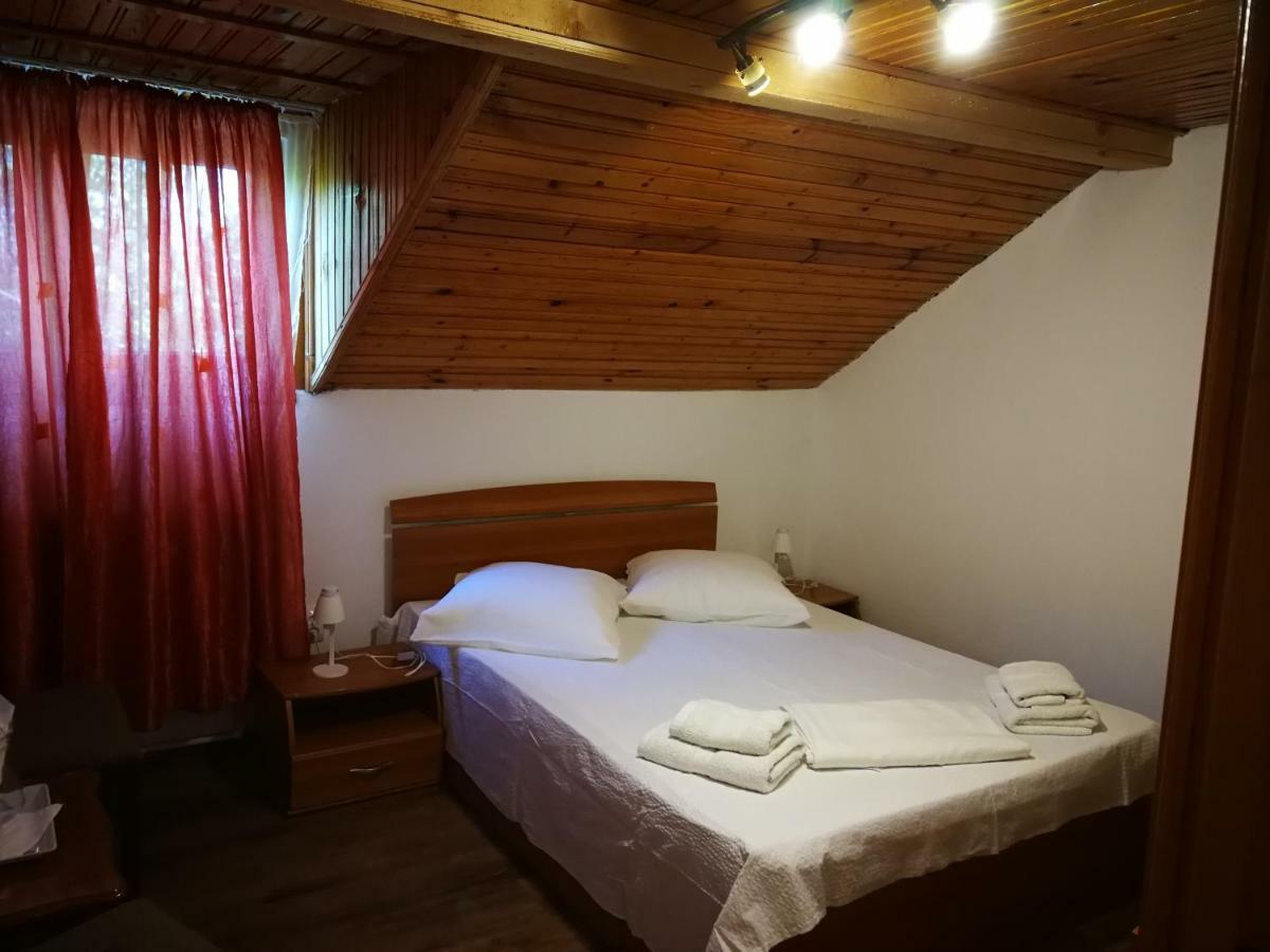 מלון Pleşcoi Vila Speranta מראה חיצוני תמונה