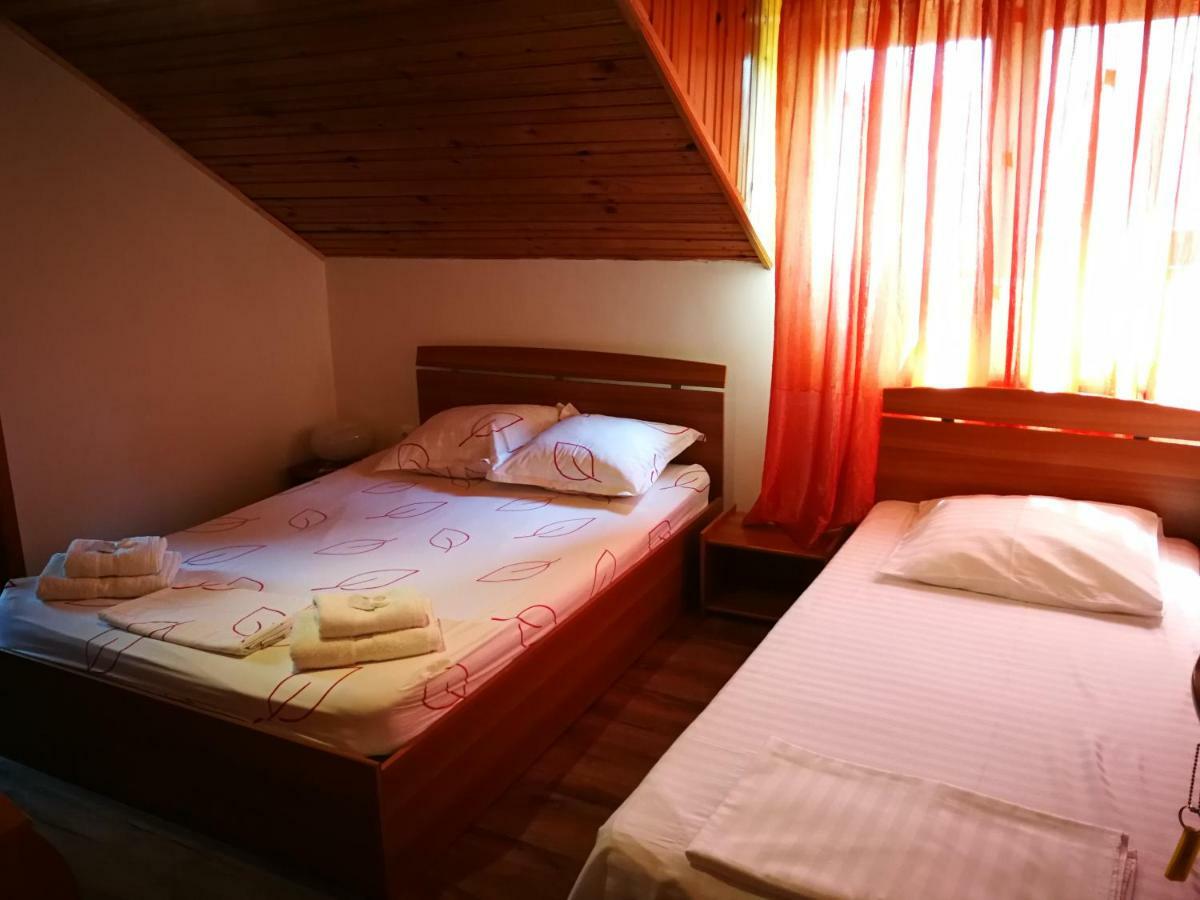 מלון Pleşcoi Vila Speranta מראה חיצוני תמונה